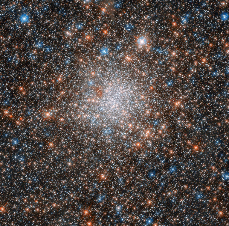 Screen Shot 2019-02-10 at 7.08.27 AM