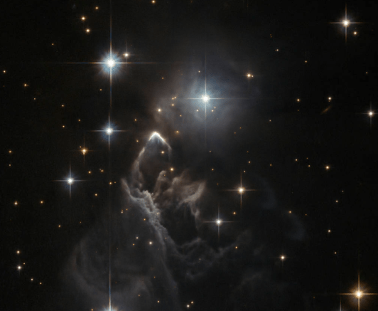 Screen Shot 2019-02-10 at 7.10.39 AM